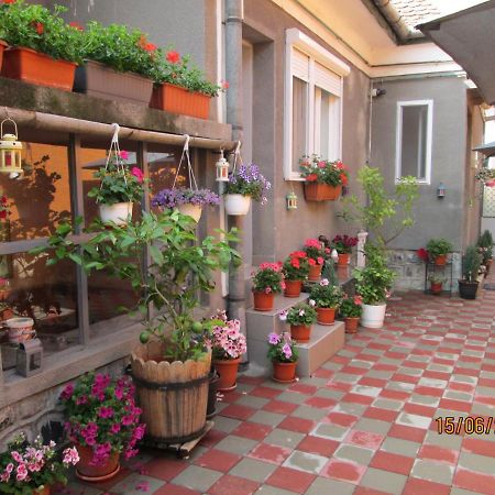 Pepy'S House Hotel Сибиу Екстериор снимка